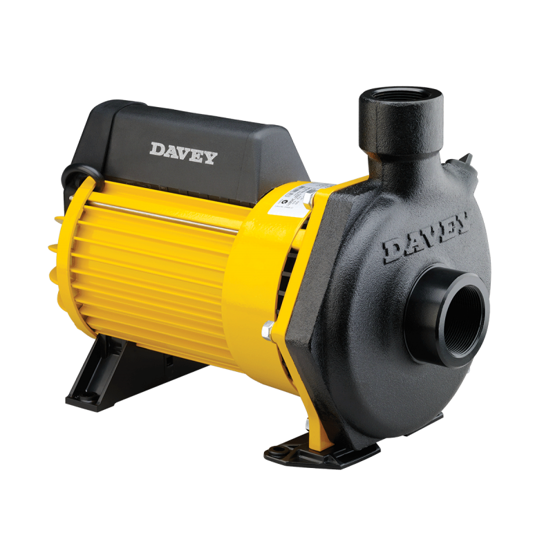 Davey 62201 Dynaflo 6220 Cast Iron Electric Transfer Pump