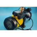 Marro Multi Stage Water Pump High Pressure Rain Tank Automatic Garden Irrigation System 5CPm100 1100w