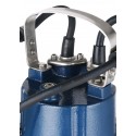 Marro SPA6-28/2-1.1A Stainless Steel Casing Submersible Pump